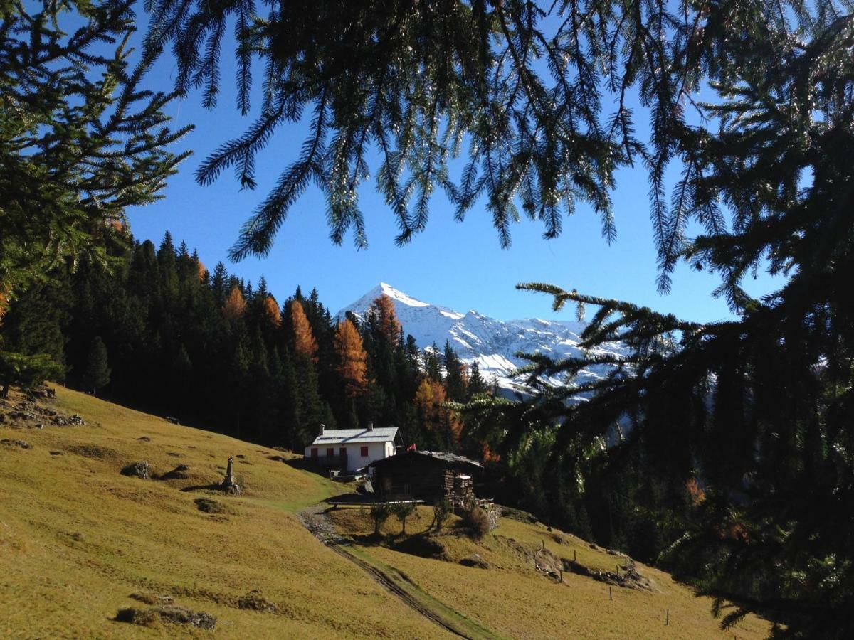 Chalet Del Bosco Valdisotto Exterior photo